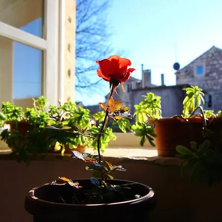 Stone House Harmony - One Bedroom Holiday With Patio And Garden View דירה